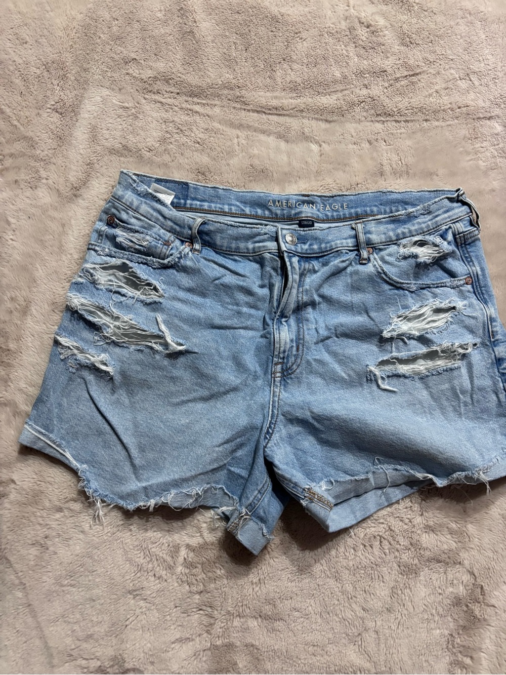 American Eagle Outfitters Light Wash Distressed Denim Shorts